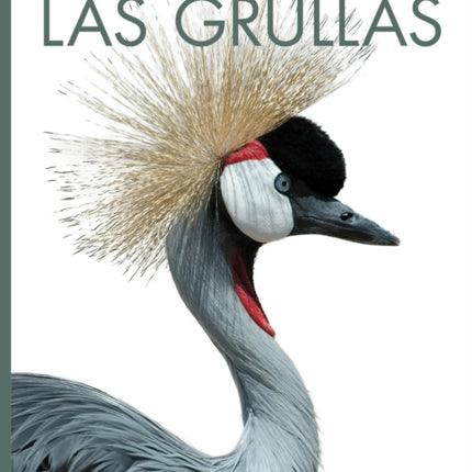 Las Grullas
