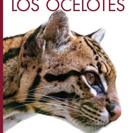 Los Ocelotes