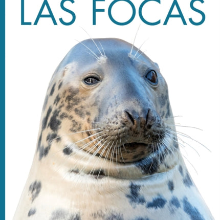 Las Focas