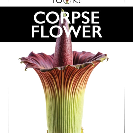 Corpse Flower