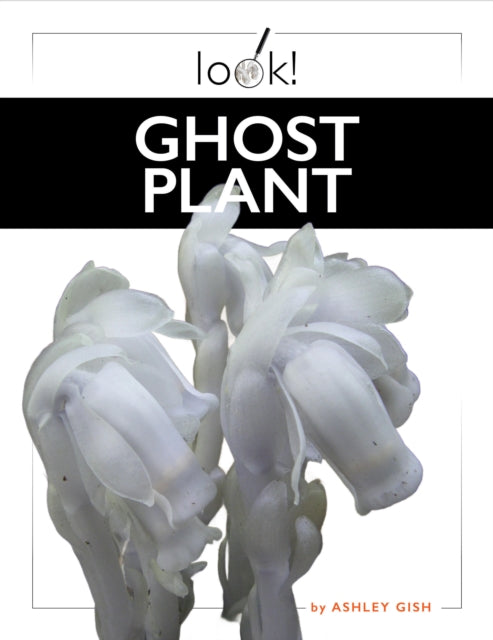 Ghost Plant