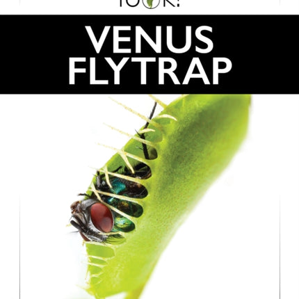 Venus Flytrap