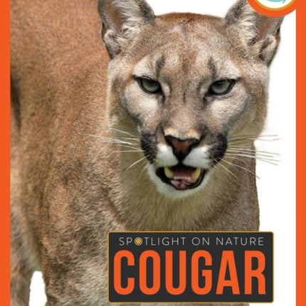 Cougar