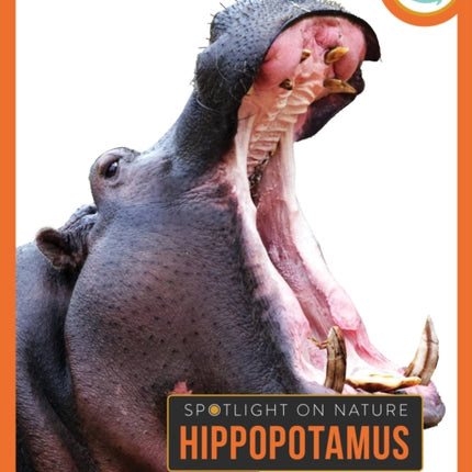 Hippopotamus