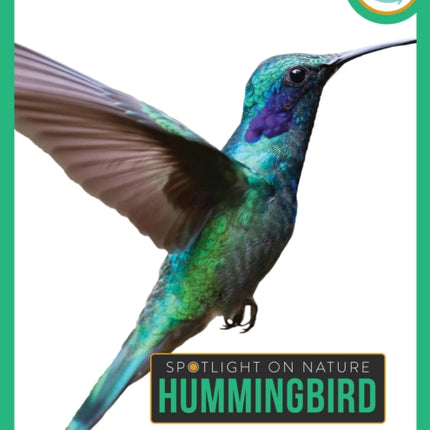 Hummingbird