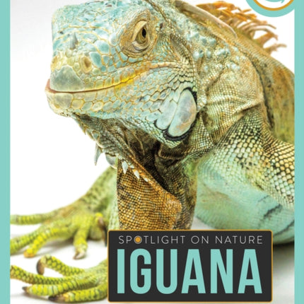 Iguana