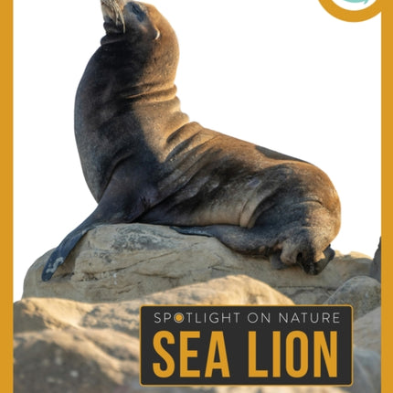 Sea Lion