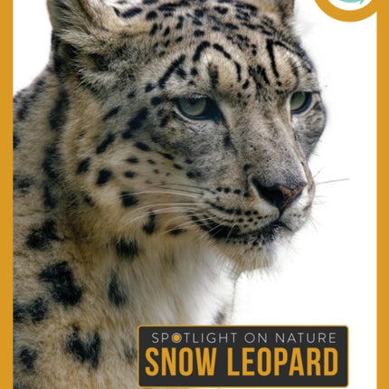 Snow Leopard