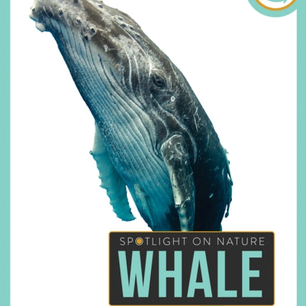 Whale