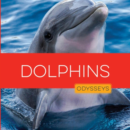Dolphins