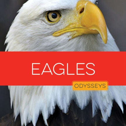 Eagles