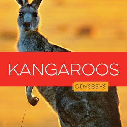 Kangaroos
