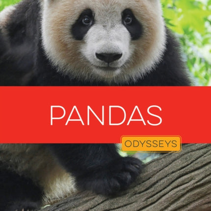 Pandas