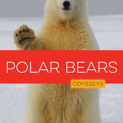 Polar Bears