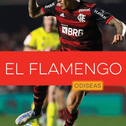 El Flamengo