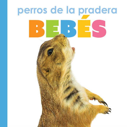 Perros de la Pradera Bebés