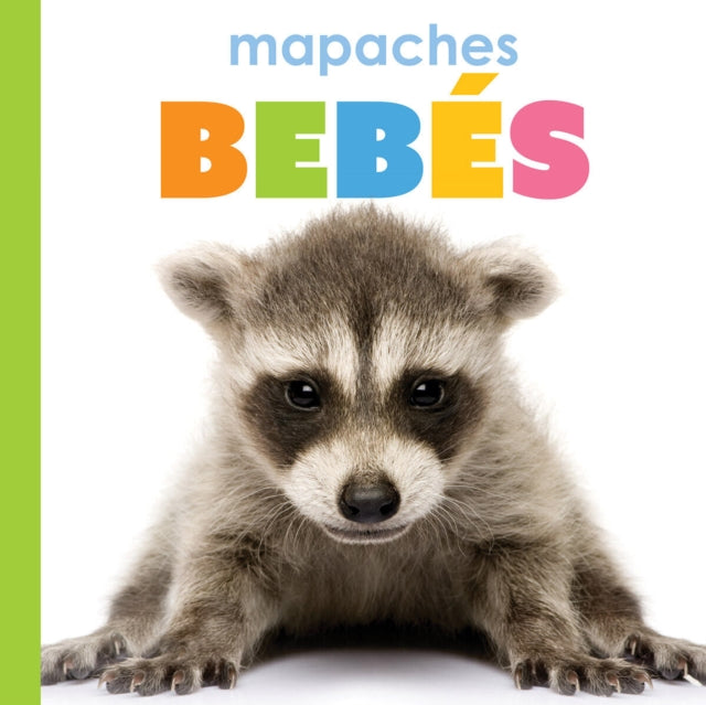 Mapaches Bebés