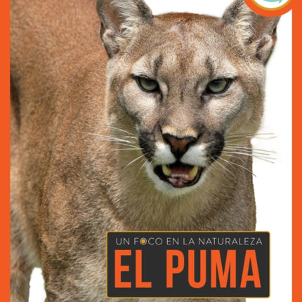 El Puma