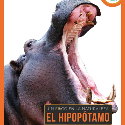El Hipopótamo