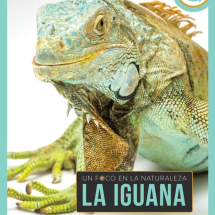 La Iguana