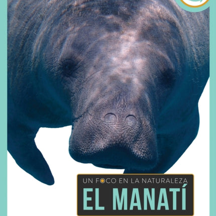 El Manatí