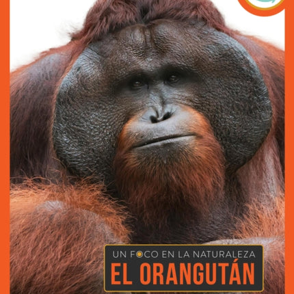 El Orangután