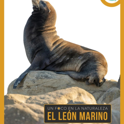 El León Marino