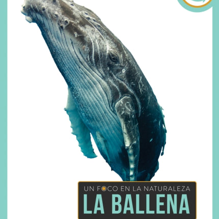 La Ballena