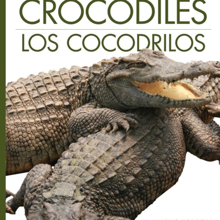 Crocodiles  Los Cocodrilos