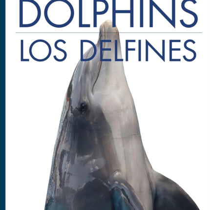 Dolphins  Los Delfines