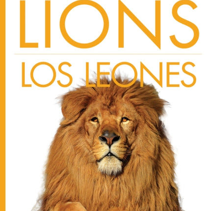 Lions  Los Leones