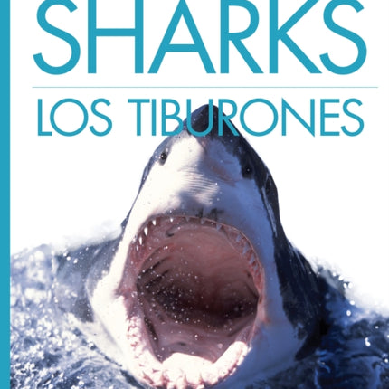 Sharks  Los Tiburones