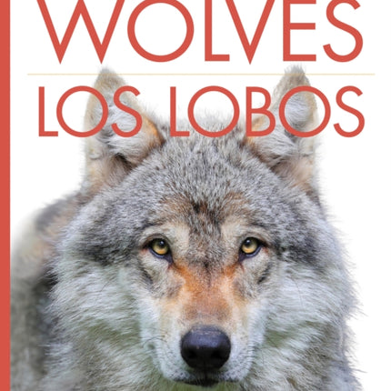 Wolves  Los Lobos