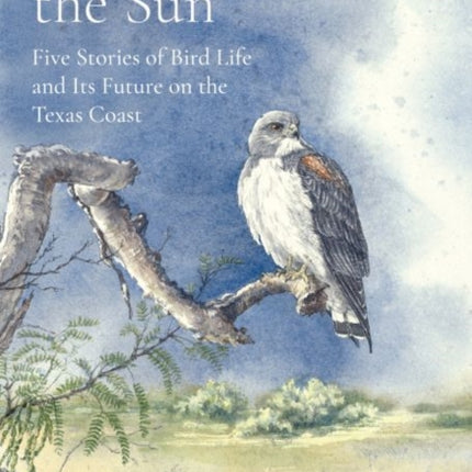 A Haven in the Sun: Five Stories of Bird Life and Its Future on the Texas Coast