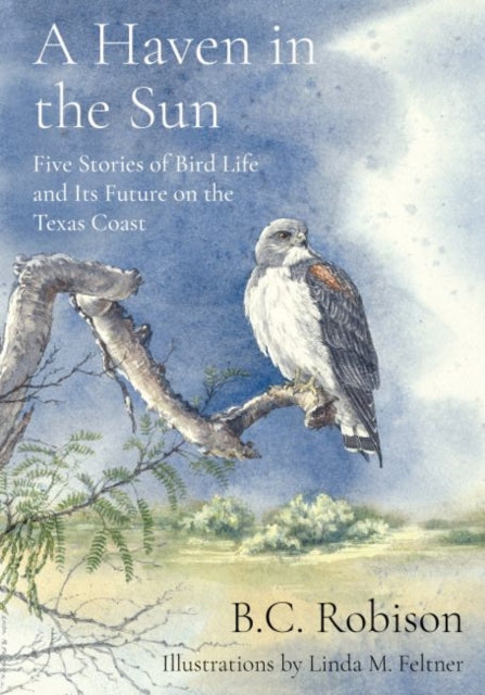 A Haven in the Sun: Five Stories of Bird Life and Its Future on the Texas Coast