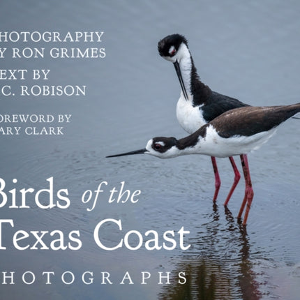 Birds of the Texas Coast  Photographs