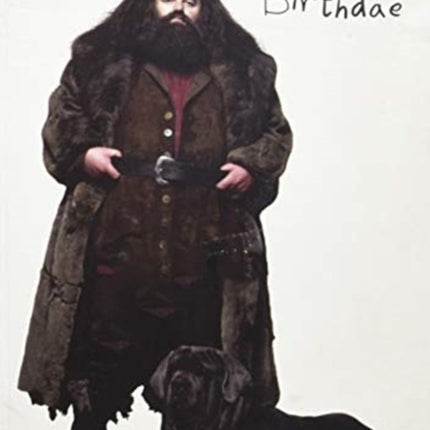 Harry Potter: Hagrid's Cake Pop-Up Card