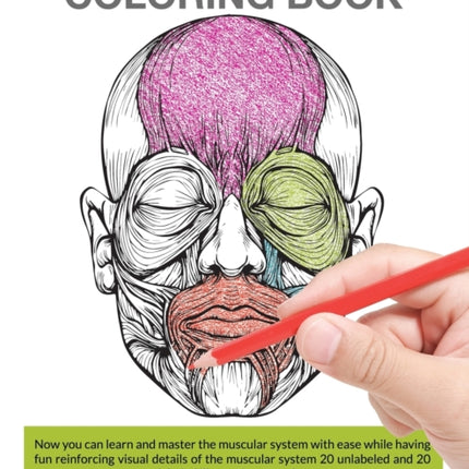 Muscular System Coloring Book