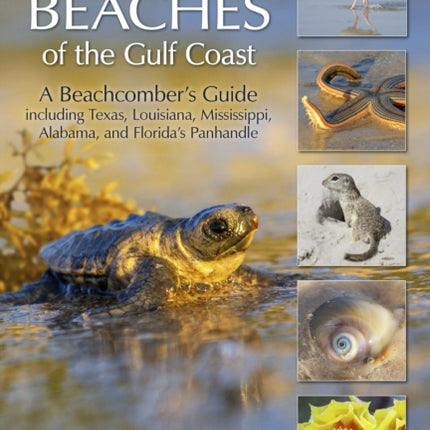 Living Beaches of the Gulf Coast: A Beachcombers Guide including Texas, Louisiana, Mississippi, Alabama and Florida's Panhandle