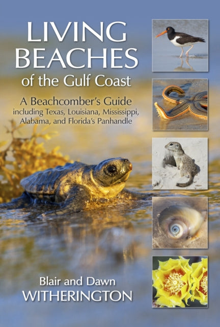 Living Beaches of the Gulf Coast: A Beachcombers Guide including Texas, Louisiana, Mississippi, Alabama and Florida's Panhandle