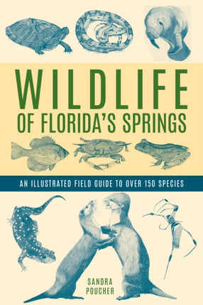 Wildlife of Florida's Springs: An Illustrated