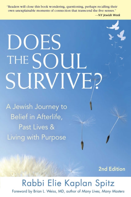 Does the Soul Survive? (2nd Edition): A Jewish