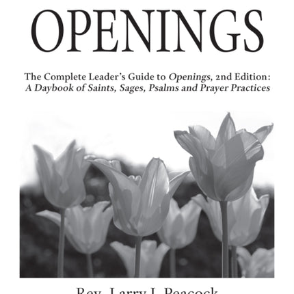Openings Leader Guide 2/E