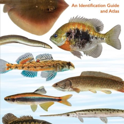 Fishes in the Freshwaters of Florida