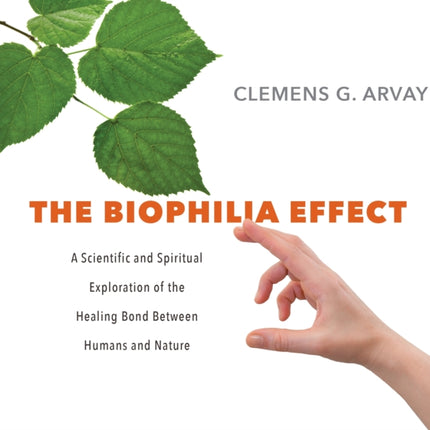 The Biophilia Effect: The Healing Bond Between Humans and Nature