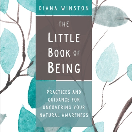 The Little Book of Being: Practices and Guidance for Uncovering Your Natural Awareness