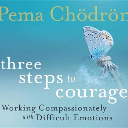 Three Steps to Courage: Working Compassionately with Difficult Emotions