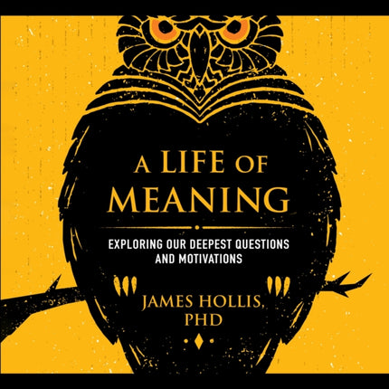 A Life of Meaning: Exploring Our Deepest Questions and Motivations