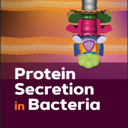 Protein Secretion in Bacteria