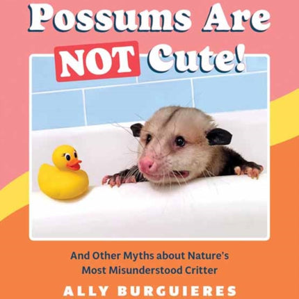 Possums Are Not Cute